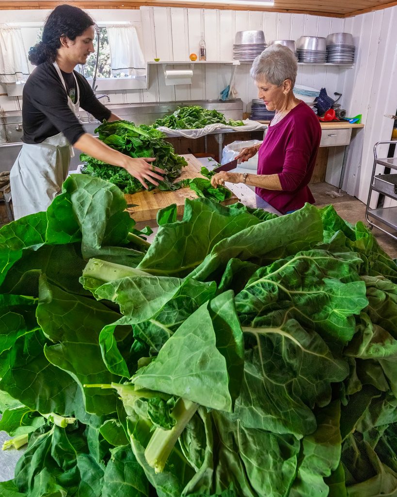 A man and woman chop a huge pile of greens for a Festa feast
