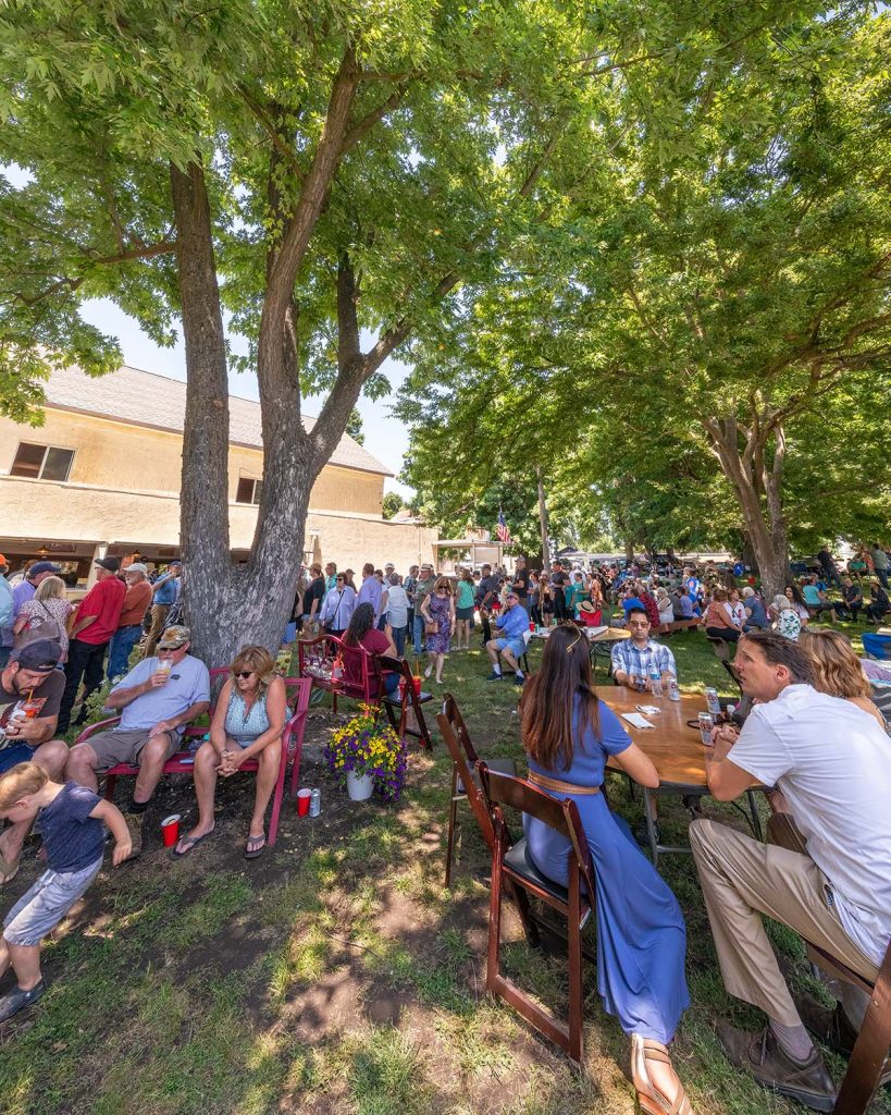People gather at tables on a lawn under shade trees for a Festa