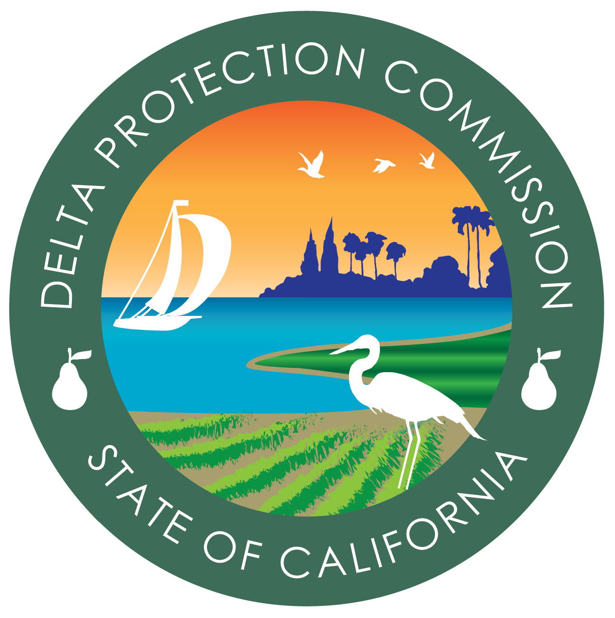 DPC logo