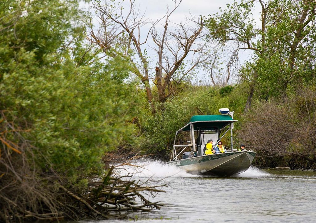 A boat speeding down a slough