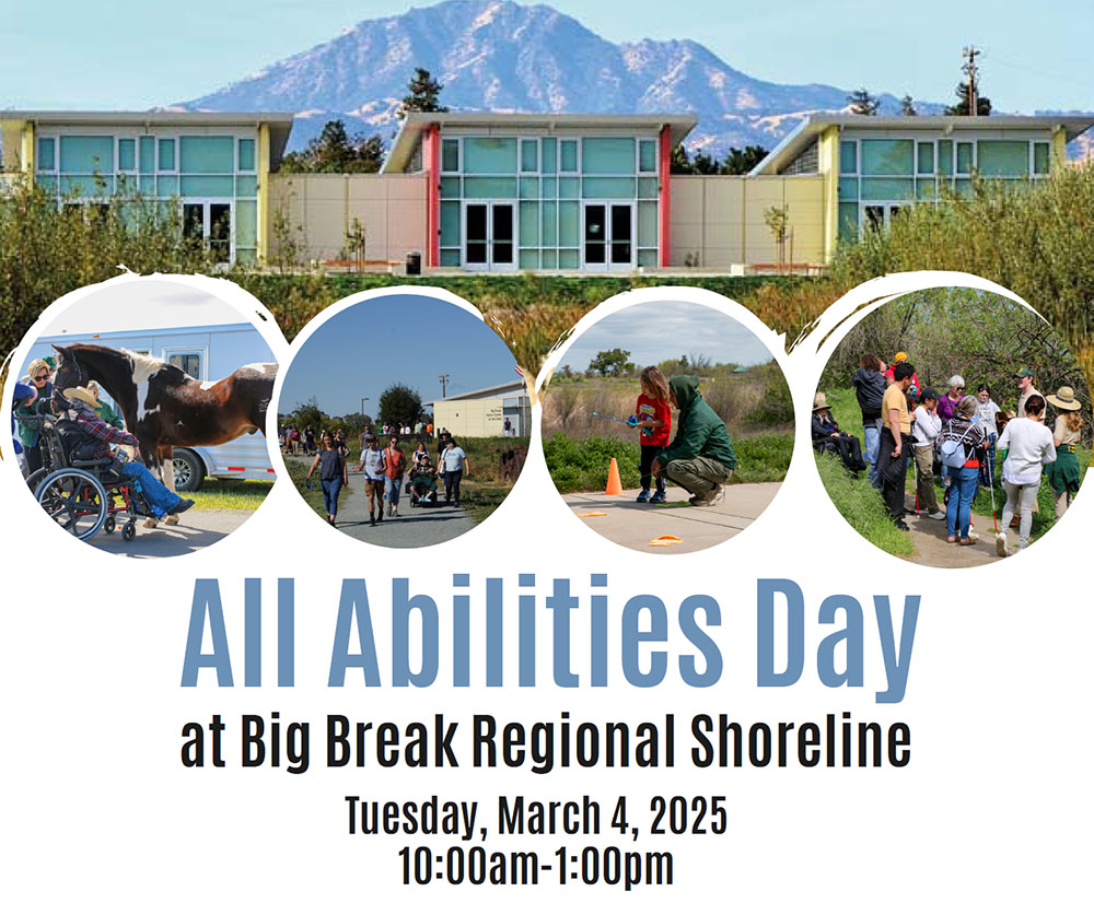 All abilities day flyer