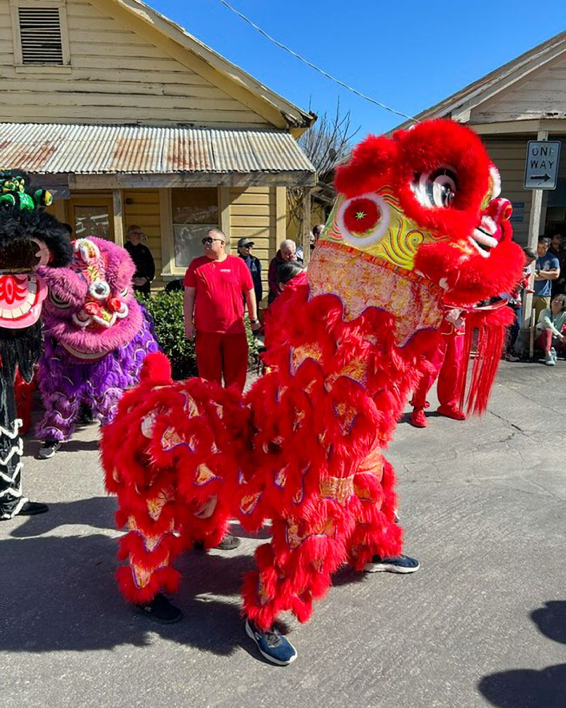 Lion dancer