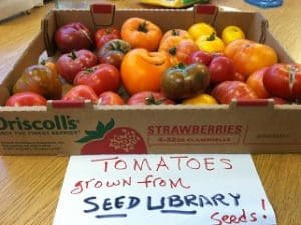 A box of homegrown heirloom tomatoes