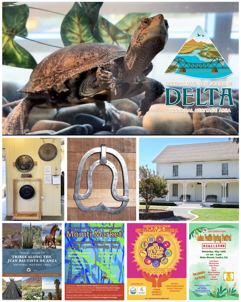 Montage of Delta images
