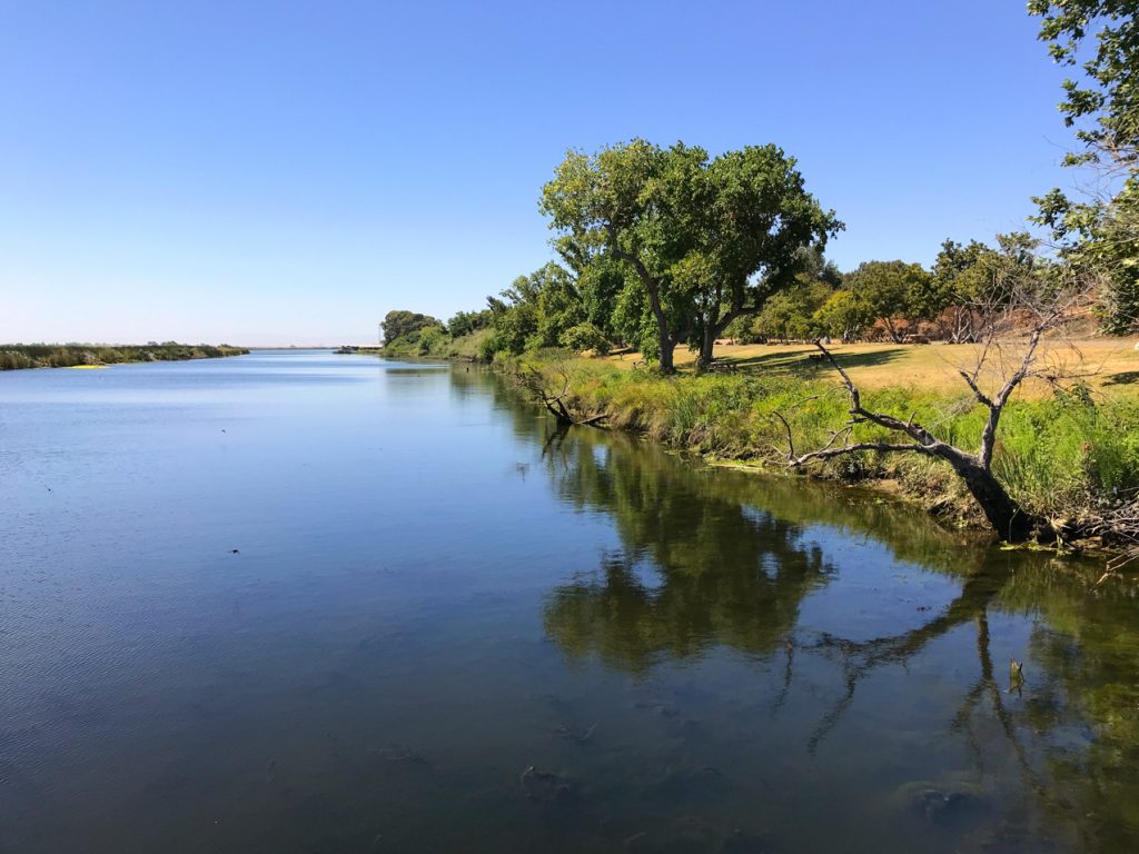 A large calm river with riverbank and trees in the background