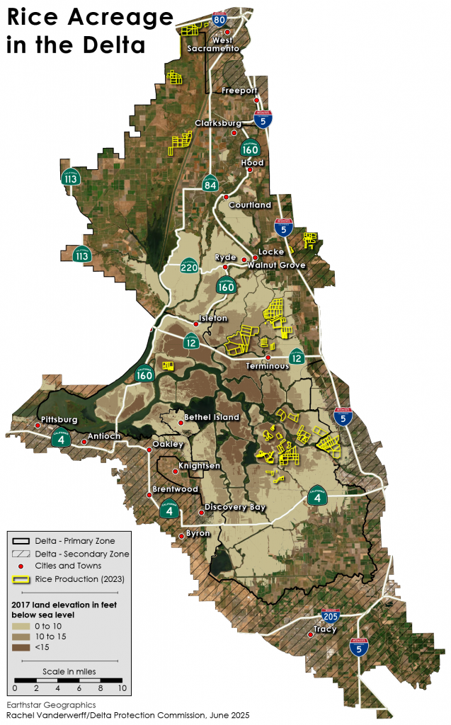 A map of the California Delta showing the location of rice crops in 2023, as well as subsidence levels