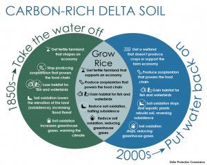 Venn diagram comparing the upsides and downsides of draining wetlands, restoring wetlands and growing rice