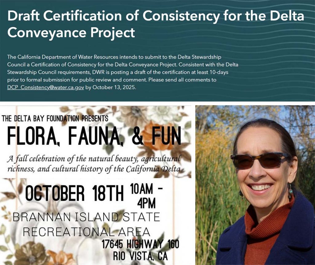 Montage of images from newsletter