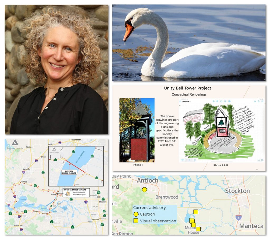 Montage of images from newsletter: woman smiling, swan, architect's rendering, two maps
