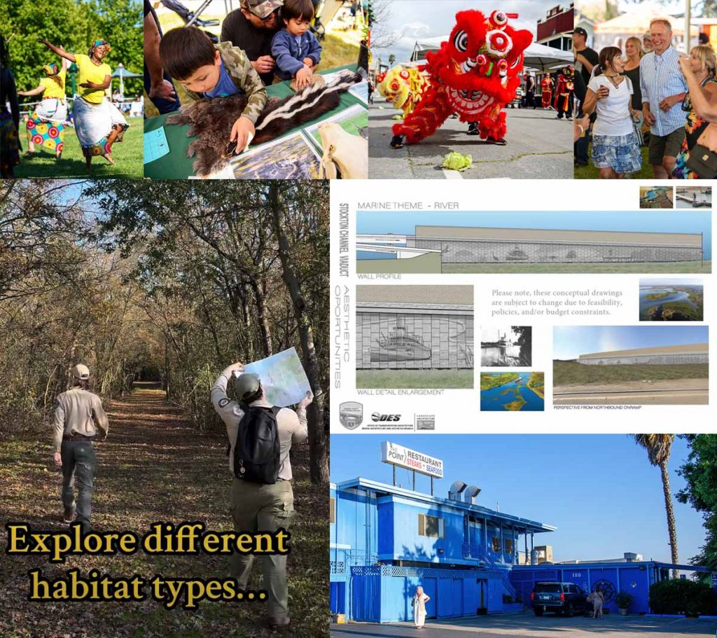 Montage of images from newsletter