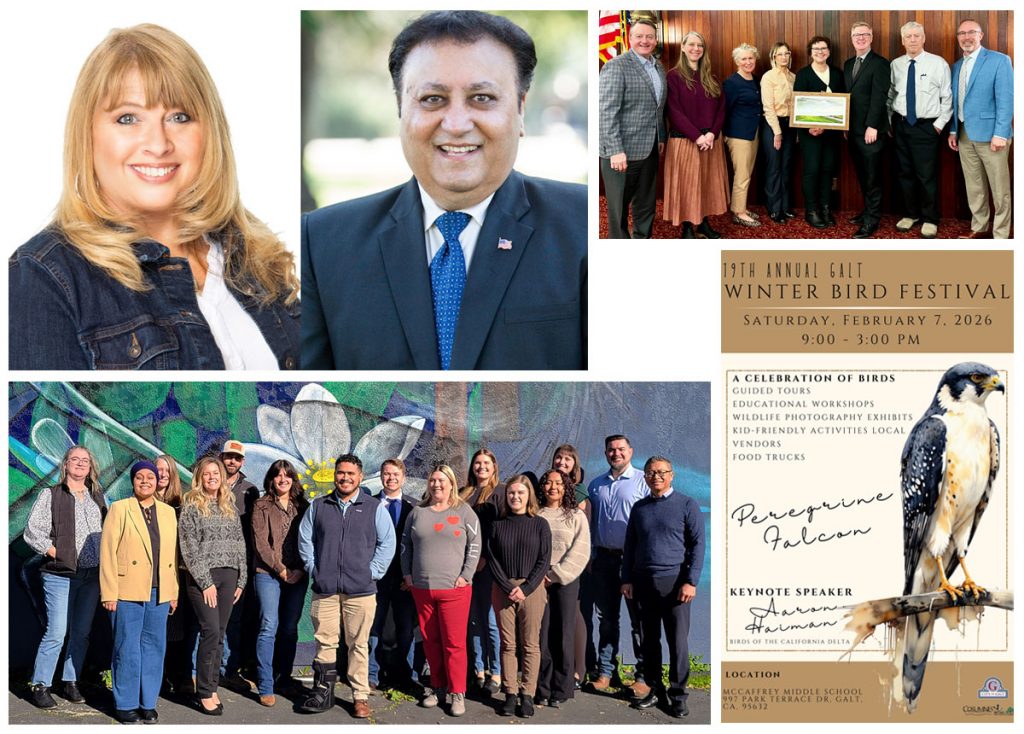 Montage of images from newsletter