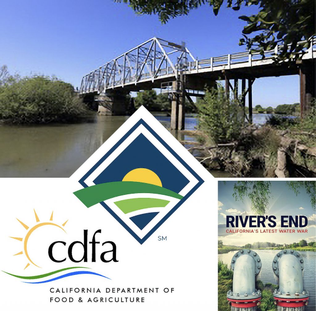 Montage of newsletter images: a bridge, two logos, a documentary flyer