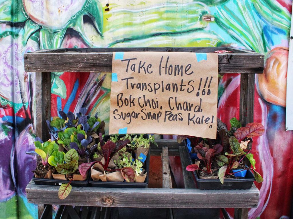 A sign urging people to take home transplants