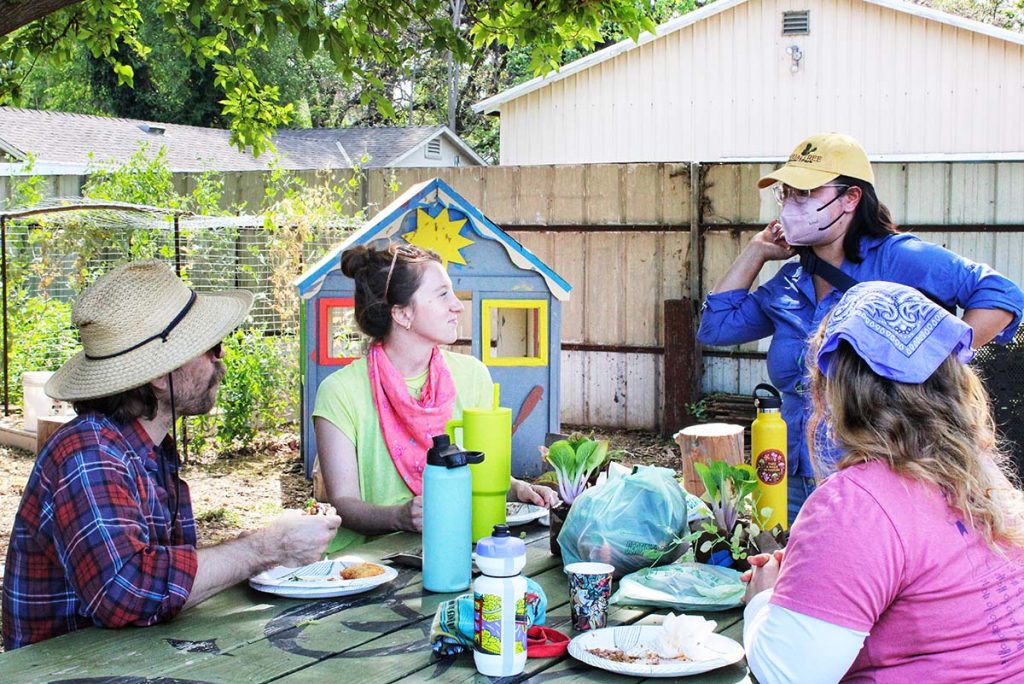People chatting over lunch