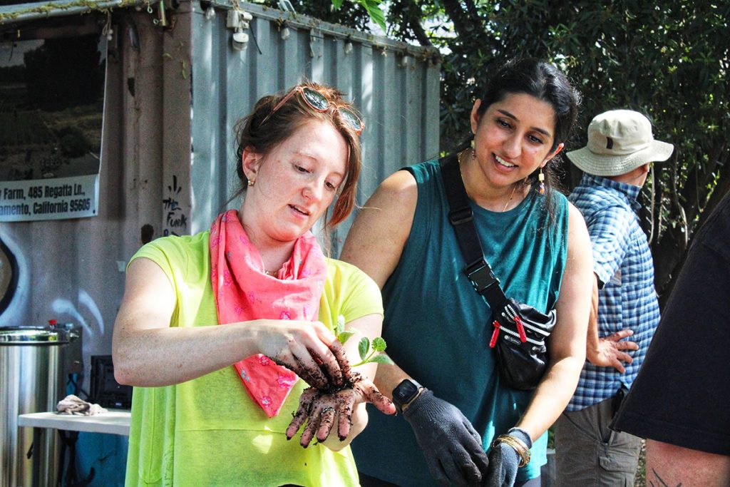 A woman with a small seedling in her hand