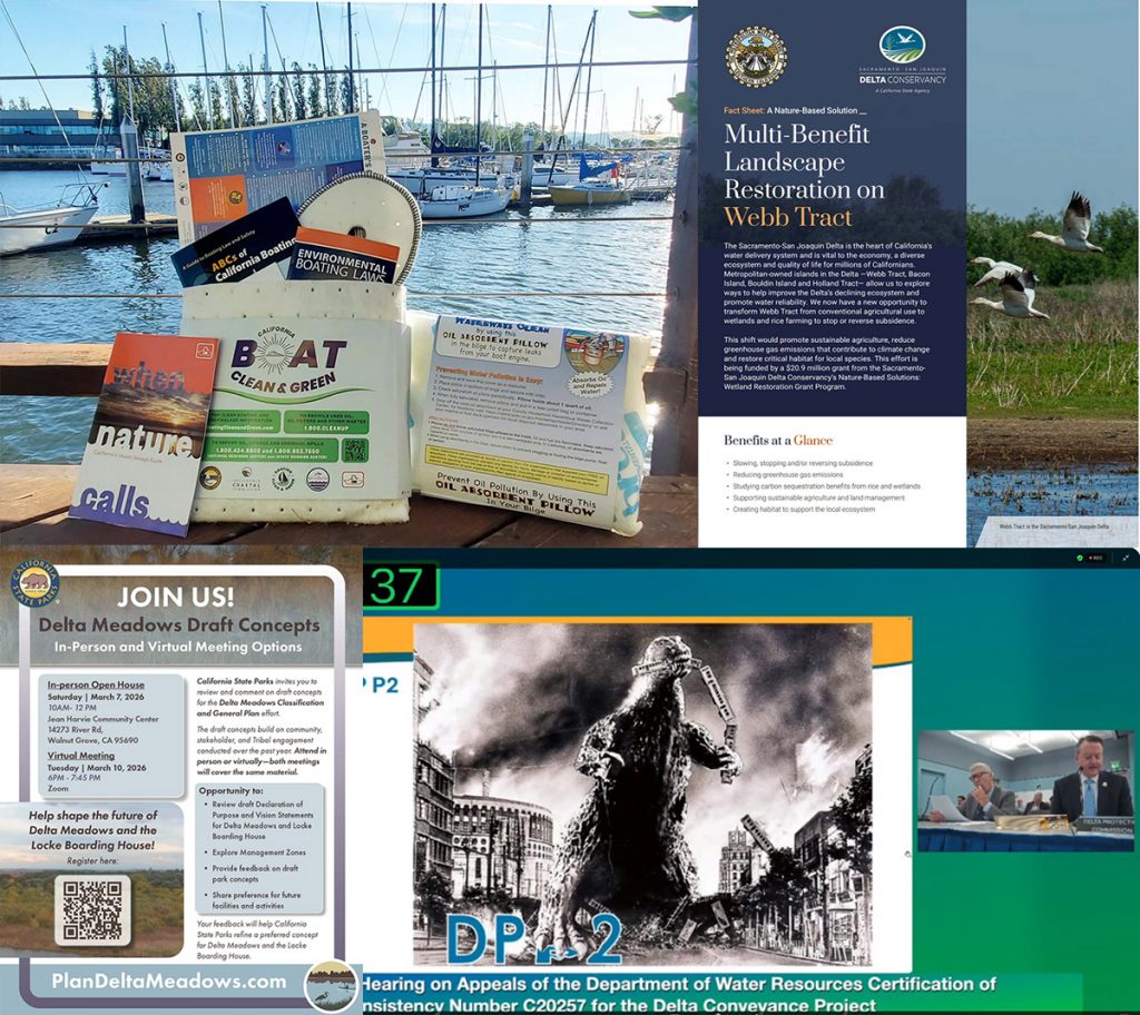 Montage: boater kit, informational flyers, Godzilla