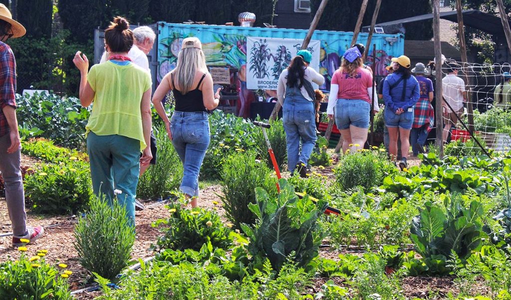 People leave a garden single file to head to lunch