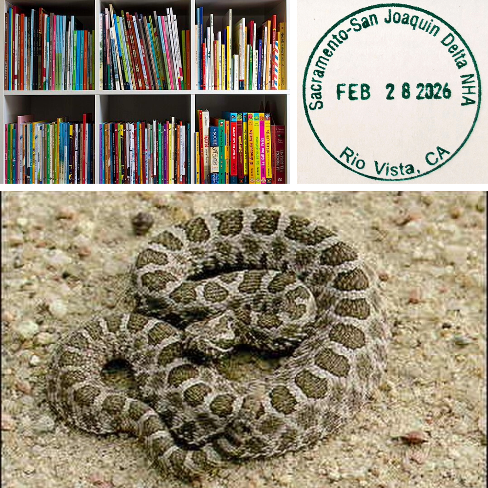 Images of a bookshelf, a coiled snake and a Passport Program stamp