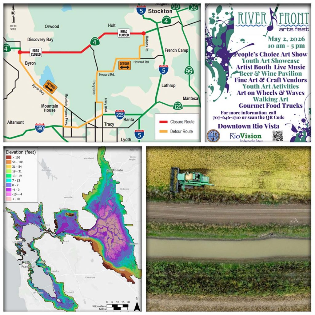 Montage of newsletter images