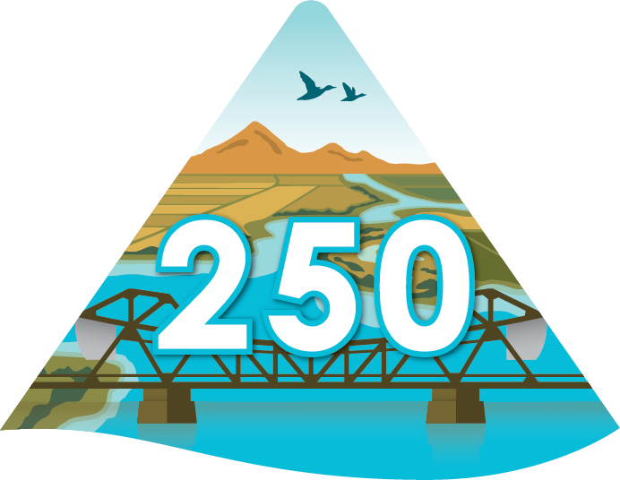 logo - "250" superimposed over Delta NHA logo