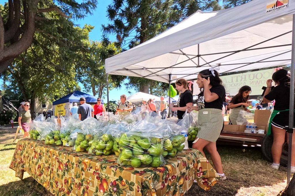 Sacks of pears in front of a canopy at an outdoor event