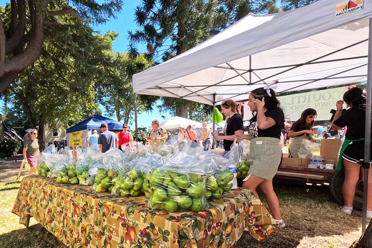 Sacks of pears in front of a canopy at an outdoor event